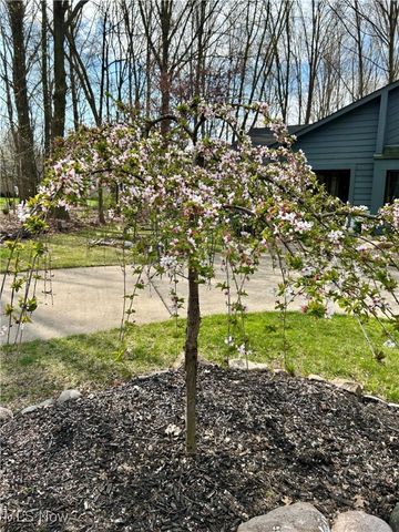 32651 Walker Road, Avon Lake, OH 44012