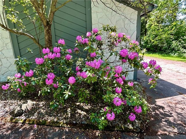 32651 Walker Road, Avon Lake, OH 44012