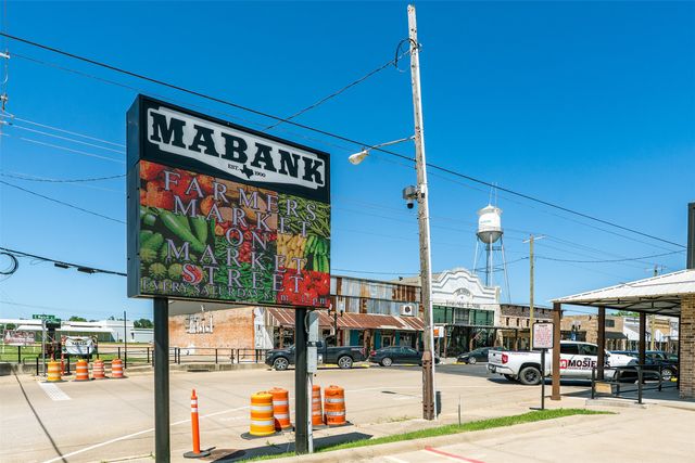 1043 Springview Lane, Mabank, TX 75147