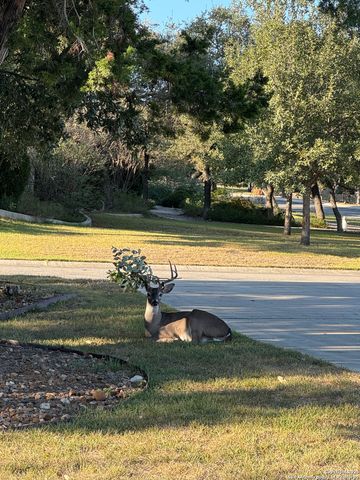 8532 Verano, San Antonio, TX 78266