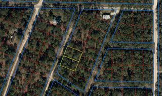 0 NE 155 TERRACE, Williston, FL 32696
