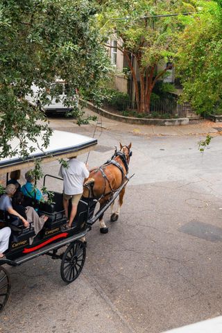 41 Legare Street B, Charleston, SC 29401