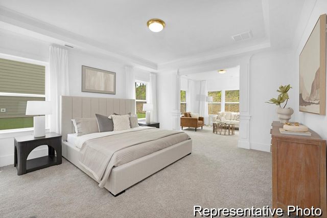 419 Myers Mayo Road 34, Ridgeville, SC 29472