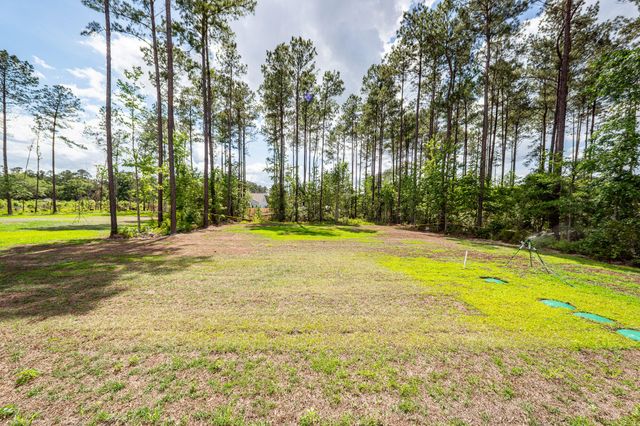 419 Myers Mayo Road 34, Ridgeville, SC 29472