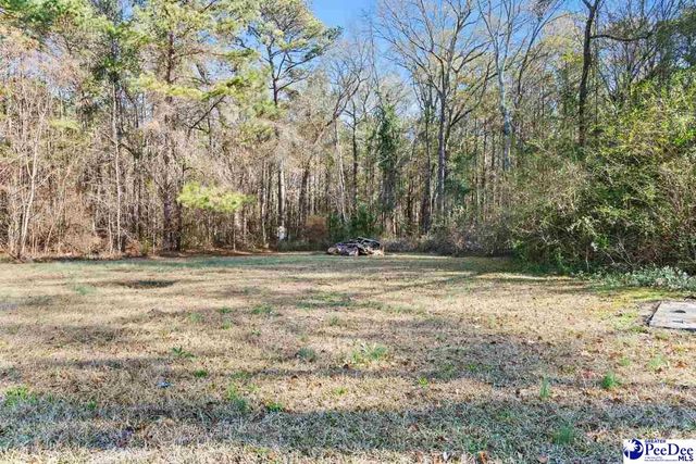 202 E Twin Church Rd, Timmonsville, SC 29161