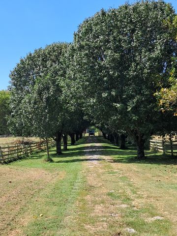 1211 Old Highway 99, Lewisburg, TN 37091