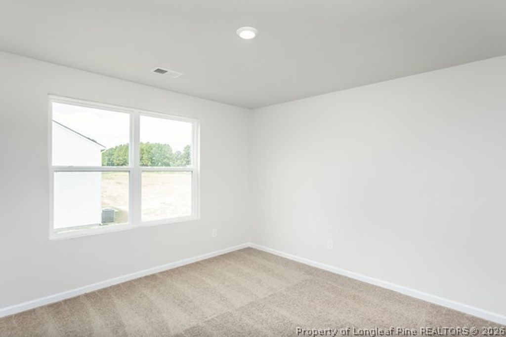 159 Empress Street, Broadway, NC 27505 — photo 17