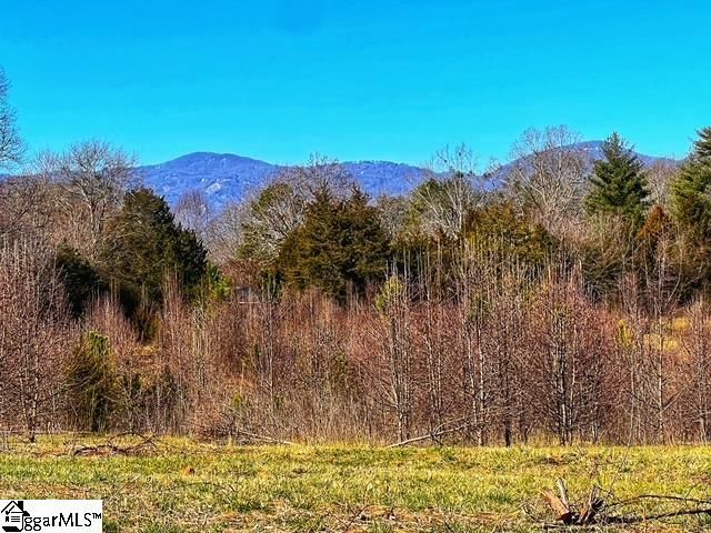 000 Cockrell Road, Greer, SC 29651