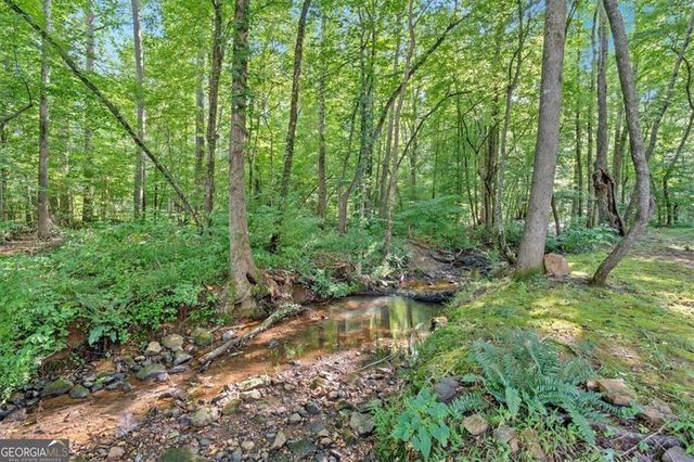 51 Meadow Spring Court, Temple, GA 30179