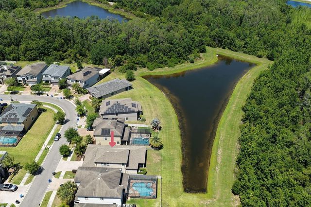 19546 WHISPERING BROOK DRIVE, Tampa, FL 33647