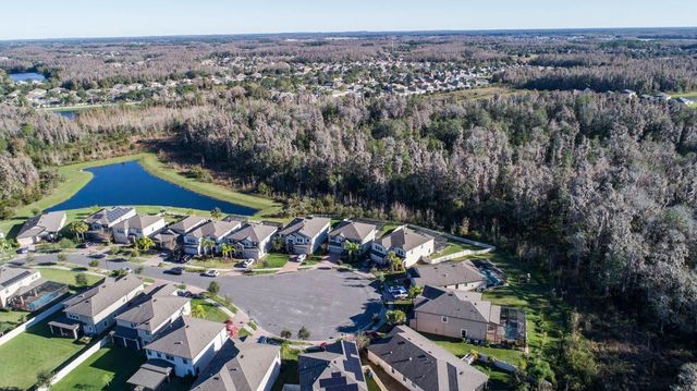 19546 WHISPERING BROOK DRIVE, Tampa, FL 33647