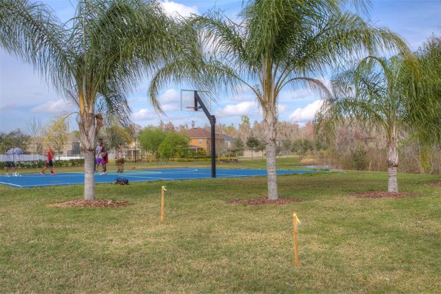 19546 WHISPERING BROOK DRIVE, Tampa, FL 33647