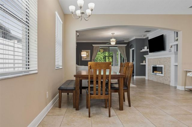 19546 WHISPERING BROOK DRIVE, Tampa, FL 33647