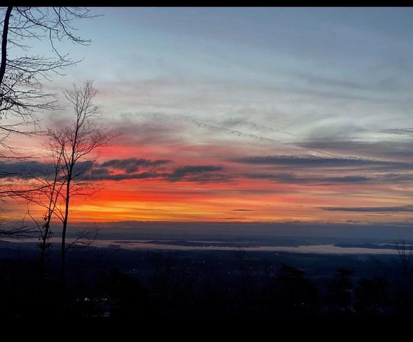 230 Duckwood Lane, Evensville, TN 37332