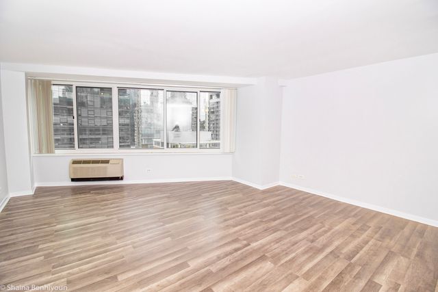 211 E Ohio Street 2515, Chicago, IL 60611