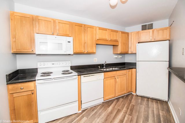 211 E Ohio Street 2515, Chicago, IL 60611