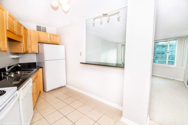 211 E Ohio Street 2515, Chicago, IL 60611