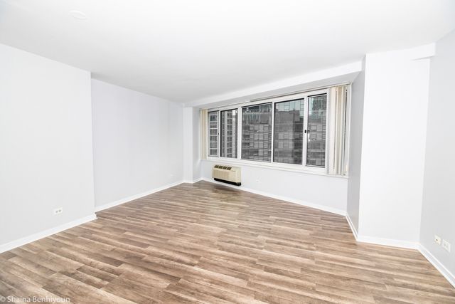 211 E Ohio Street 2515, Chicago, IL 60611