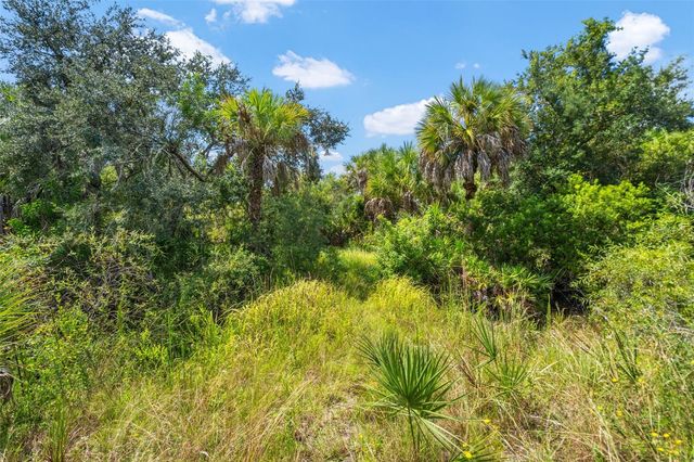 LIGHTFOOT ROAD, Wimauma, FL 33598