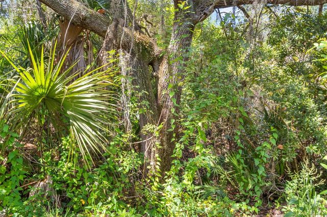 LIGHTFOOT ROAD, Wimauma, FL 33598