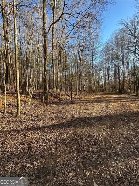 0 Collier Street SW, Covington, GA 30014