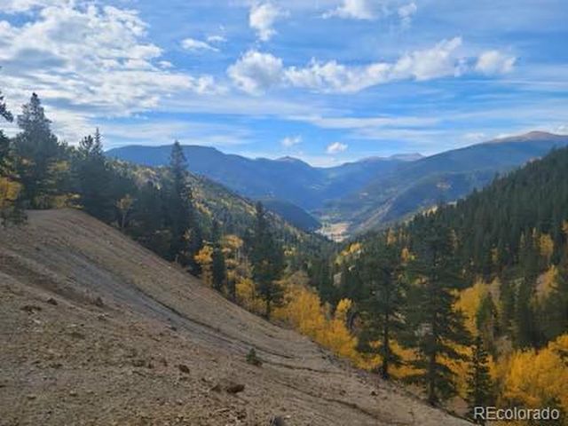 188 E Clear Creek Dr, Empire, CO 80438