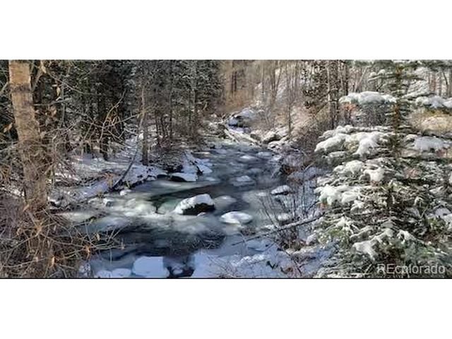 188 E Clear Creek Dr, Empire, CO 80438