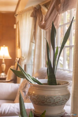 224 Ray Road, New Haven, CT 06515