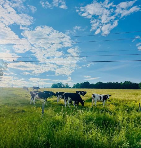 858 Alpine View Road, Stowe, VT 05672