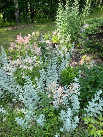 858 Alpine View Road, Stowe, VT 05672