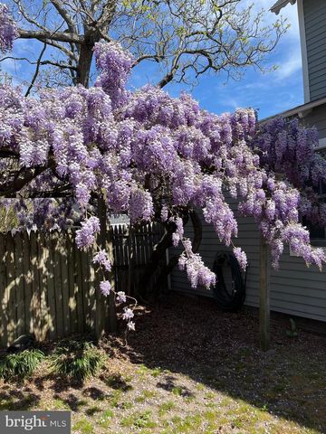206 E MARKET ST, Lewes, DE 19958