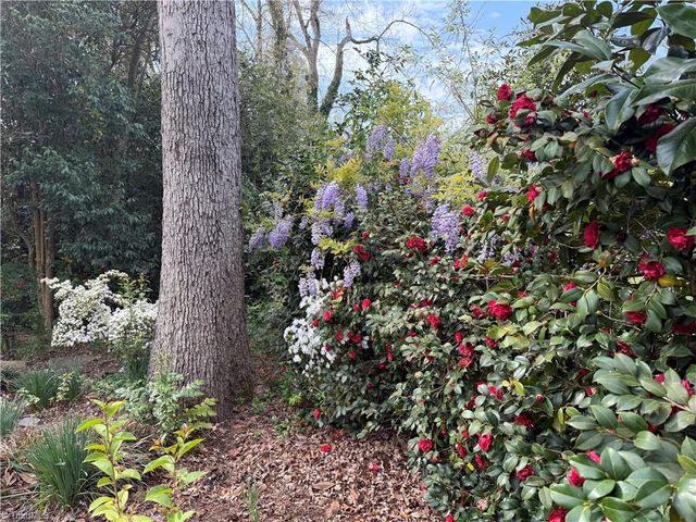 1631 Maple Avenue, Albemarle, NC 28001