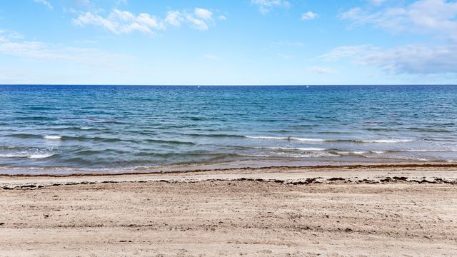 1155 Hillsboro Mile 403, Hillsboro Beach, FL 33062