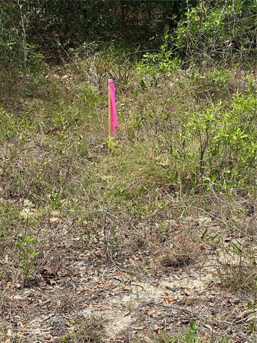 NE 112TH COURT, Archer, FL 32618