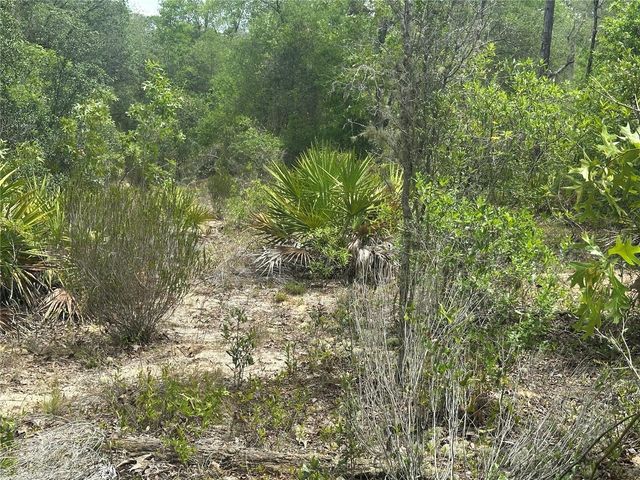 NE 112TH COURT, Archer, FL 32618