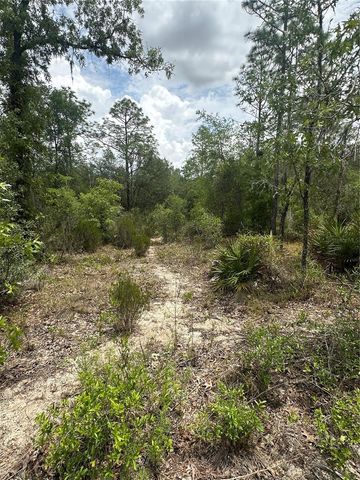NE 112TH COURT, Archer, FL 32618