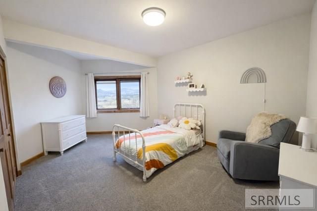 63 Mountain View Road, Salmon, ID 83467