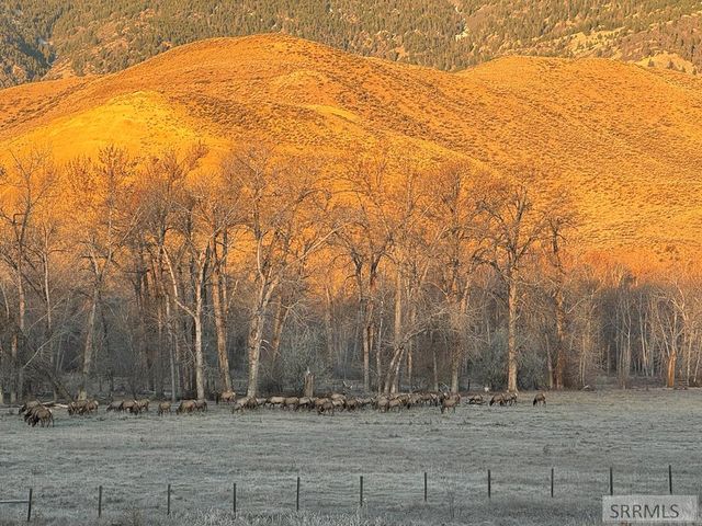 63 Mountain View Road, Salmon, ID 83467