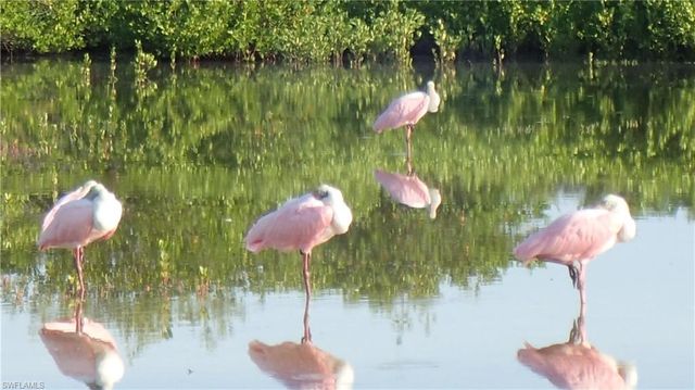 21420 Bay Village DR # 216, Fort Myers Beach, FL 33931