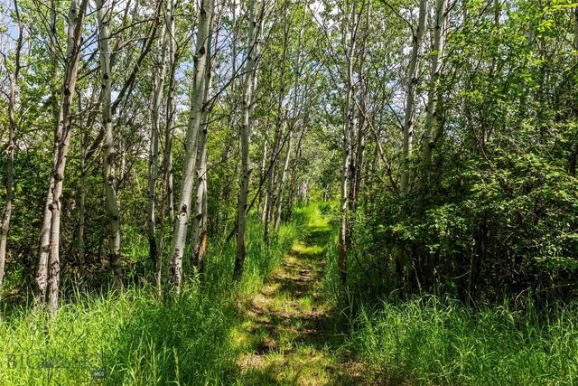 65 Rocky Creek Lane, Livingston, MT 59047