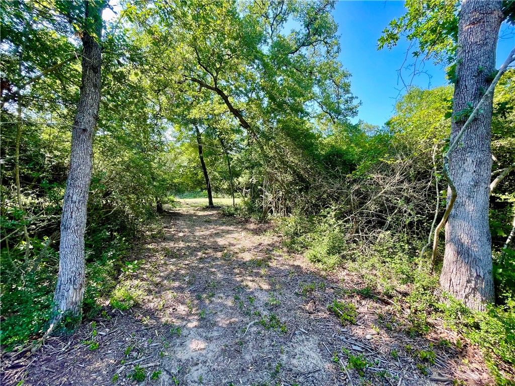 9242 Stetson Drive, Normangee, TX 77871 — photo 4