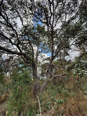 0 CENTRALIA ROAD, Weeki Wachee, FL 34614