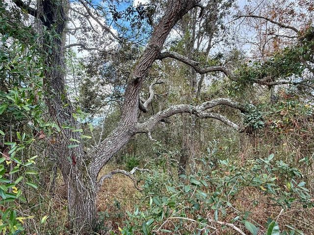 0 CENTRALIA ROAD, Weeki Wachee, FL 34614