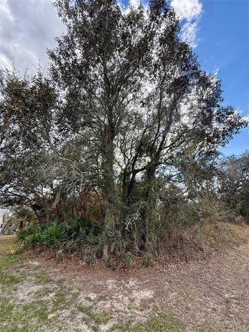 0 CENTRALIA ROAD, Weeki Wachee, FL 34614