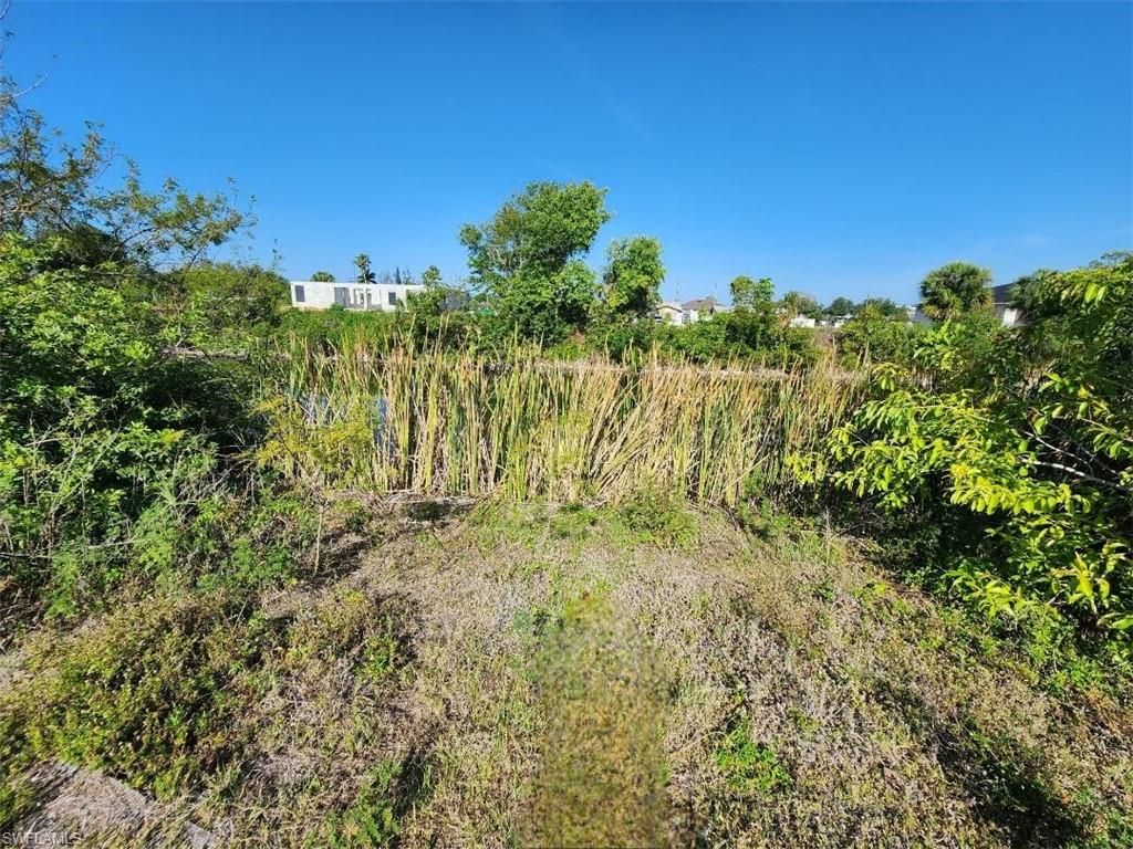 2210 NE 22nd AVE, CAPE CORAL, FL 33909 — photo 3