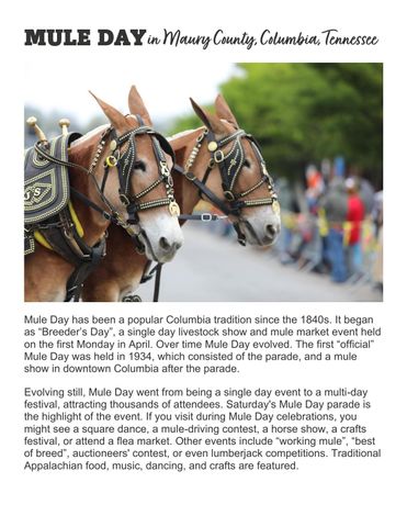 1100 Theta Pike, Columbia, TN 38401