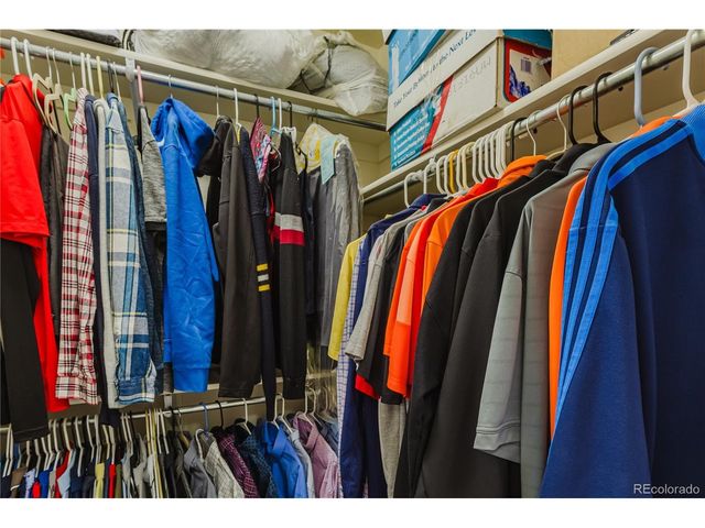 488 Black Feather Loop 210, Castle Rock, CO 80104