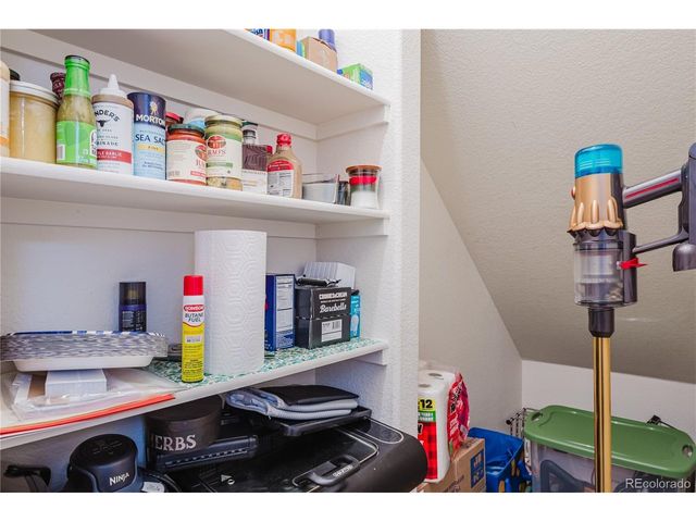 488 Black Feather Loop 210, Castle Rock, CO 80104