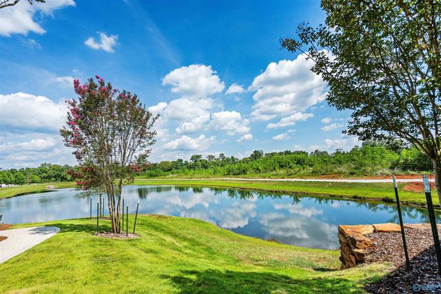 160 Knockash Hill, Madison, AL 35756