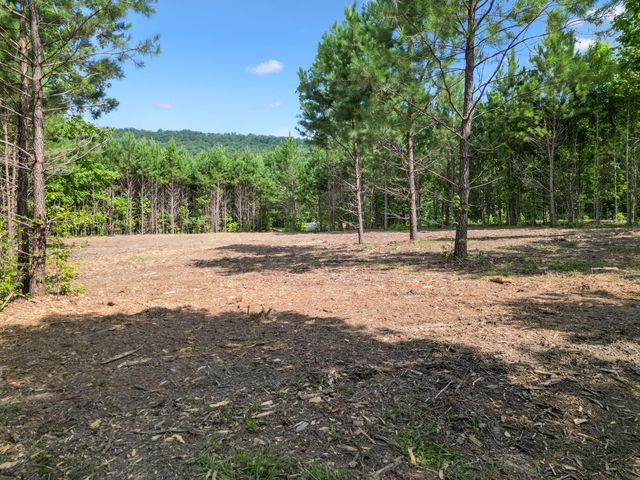 5289 Mcdonald Road, Mcdonald, TN 37353